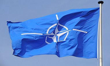 НАТО не намерено направлять войска в Украину