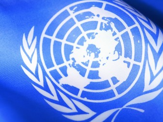 Сегодня Украинский вопрос будет обсуждаться на заседании Генассамблеи ООН