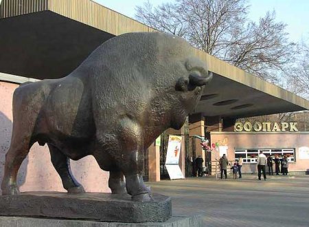 При КП "Киевский зоопарк" создадут общественный совет
