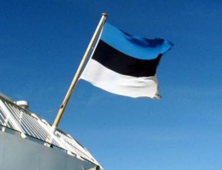 Эстония следующая? Россию забеспокоили права россиян в Эстонии
