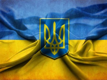 В Киеве презентуют план создания спецподразделения "Хорт"