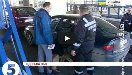 Украина усиливает защиту границ, люди массово помогают армии Украина усиливает защиту границ, люди массово помогают армии
