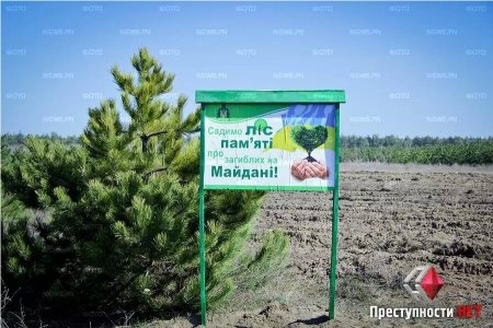 Под Николаевом высадили лес в память о «Небесной сотне»