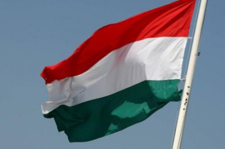 Венгрия назвала предложение Жириновского "абсурдом"