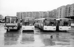 В Горловке водители автобусов устроили забастовку