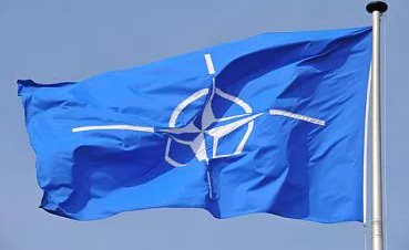 Парламентская ассамблея НАТО приостановила сотрудничество с РФ