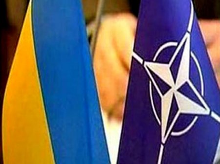 НАТО договорилось с Украиной о неотложных мерах укрепления обороноспособности