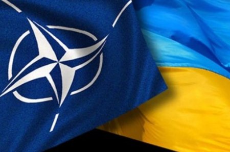 Группа консультативной поддержки НАТО разработала с украинцами меры кризисного регулирования