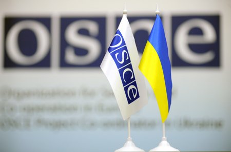 Представители ОБСЕ в Славянске встретились активисткой Евромайдана, которую взяли в плен сепаратисты