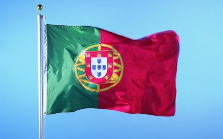 "Референдум" за закрытие российского посольства провели в Португалии