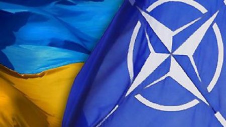 Украина и НАТО договорились об интенсификации сотрудничества