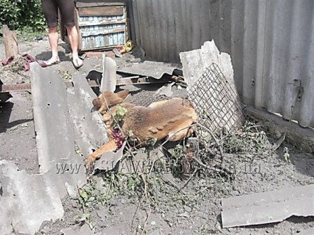В Славянске обстреляли центр города - пострадали жилые дома и автомобили В Славянске обстреляли центр города - пострадали жилые дома и автомобили