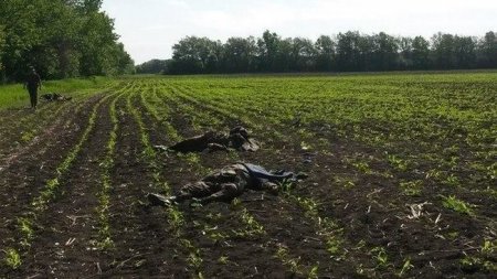 Количество погибших в бою под Волновахой возросло до 17: еще 5 раненных в тяжелом состоянии