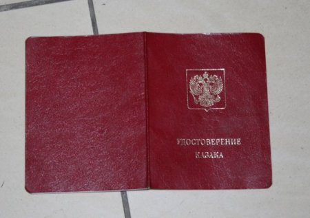 СБУ показало фото и видео с террористами, захваченными в Новоайдаре СБУ показало фото и видео с террористами, захваченными в Новоайдаре