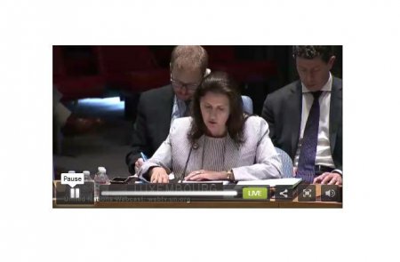 Заседание Совета Безопасности ООН по Украине. Онлайн-трансляция