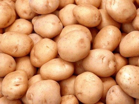 Россия решила отказаться о украинского картофеля