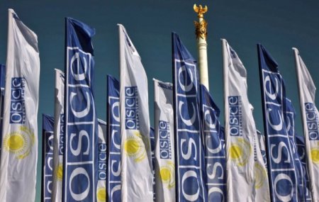 ОБСЕ заявила о готовности помочь Украине создать программу по разоружению незаконных вооруженных групп