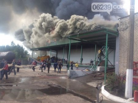 В Добропольском районе Донецкой обл. с утра идут бои, взорвана овощная база, - очевидцы