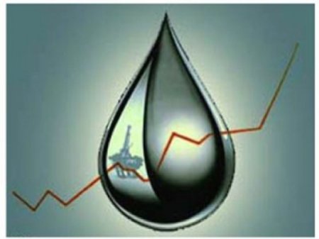 ОПЕК: Высокая цена на нефть обусловлена спекулянтами, а не нехваткой поставок
