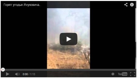 Под Киевом горели охотничьи угодья Януковича (Видео)