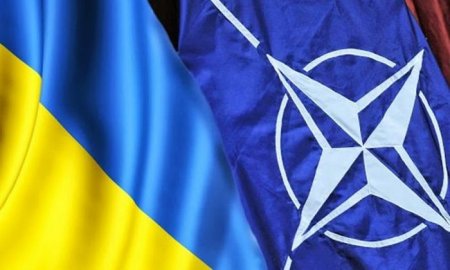 Поддержка вступления в НАТО в Украине выросла почти втрое