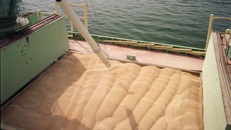 Из Крыма в Саудовскую Аравию и на Кипр незаконно экспортировали 30 тыс. тонн зерна