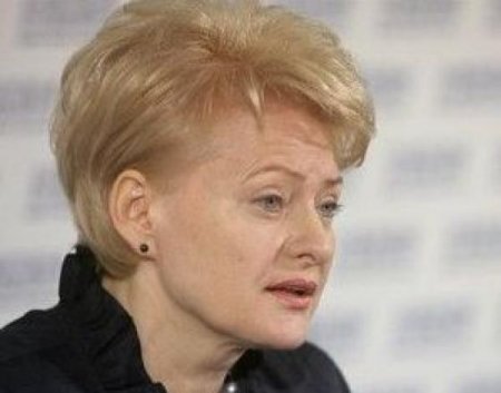 Президент Литвы: ЕС может приостановить предоставление помощи РФ от ЕБРР