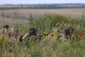 Пограничники предотвратили проникновение из РФ двух групп боевиков