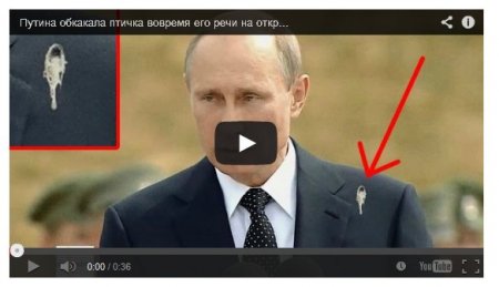 На Путина во время выступления нагадила птица (ВИДЕО)