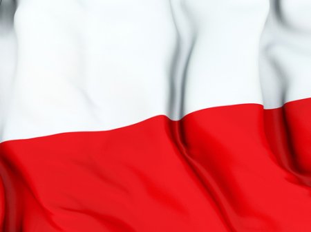 Польша обратится в ВТО из-за ограничения импорта со стороны РФ