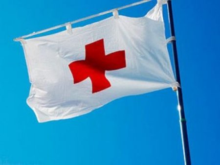 Красный крест ждет от РФ деталей гуманитарной помощи