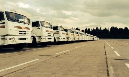 Украинцы растамаживают российский гуманитарный конвой, он поедет на Луганск, - АТЦ