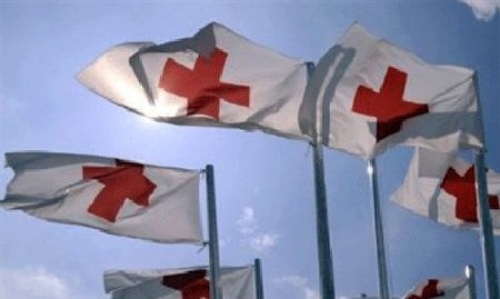 Красный Крест: Россия предоставила лишь общее описание гуманитарного груза