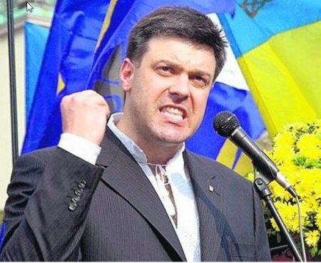 О.Тягнибок: прах Бандеры следует перезахоронить в Украине наряду с Героям Небесной сотни