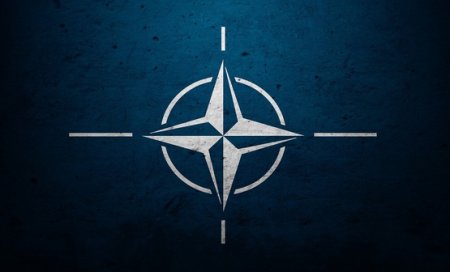 Финляндия и Швеция допустят на свою территорию силы быстрого реагирования НАТО
