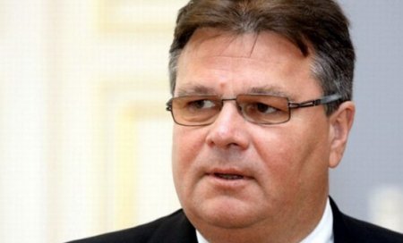 Глава МИД Литвы: ЕС должен предоставить Украине военную помощь