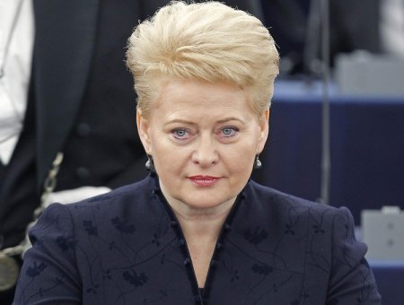 Литва предложила квалифицировать действия России в Украине как войну против Европы