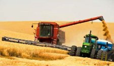В "ДНР" запретили вывозить зерно в другие области Украины