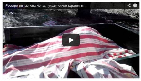 Террористы показали расстрелянных боевиков «ЛНР» (Видео 18+)