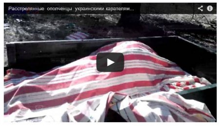 Террористы показали расстрелянных боевиков «ЛНР» (Видео 18+) Террористы показали расстрелянных боевиков «ЛНР» (Видео 18+)