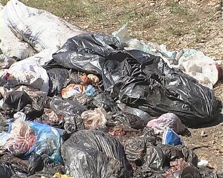 В Запорожье в лесу нашли тонну ампутированных частей тела и органов 18+ В Запорожье в лесу нашли тонну ампутированных частей тела и органов 18+