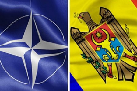 В Молдове думают об отказе от нейтралитета и вступлении в НАТО