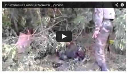 Сожженная колонна техники боевиков в Донбассе (Видео