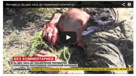 Зверства террористов: как расправлялись с бойцами «Айдара» (видео) Зверства террористов: как расправлялись с бойцами «Айдара» (видео)