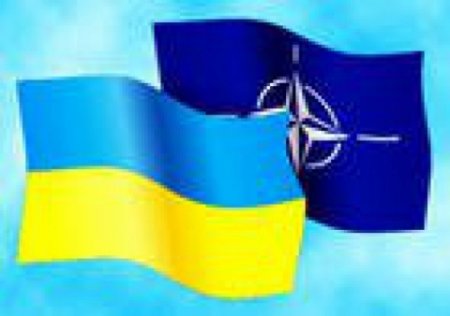 Три страны НАТО опровергли заявления Ю.Луценко о договоренности по поставкам оружия