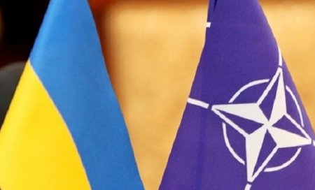 НАТО: Вопрос членства Украины в альянсе – на столе