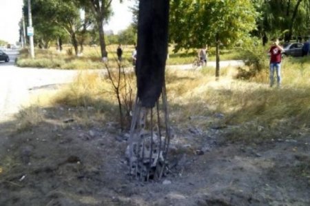 В Мариуполе взорвали столб В Мариуполе взорвали столб