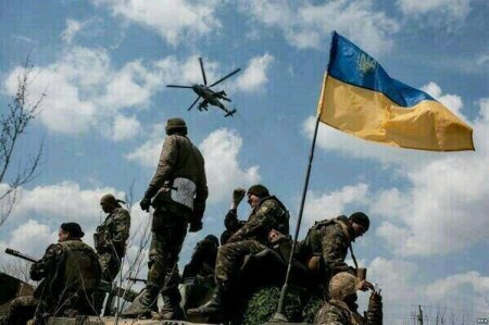 Русские поняли, что они не бессмертные и боятся нас - Береза Русские поняли, что они не бессмертные и боятся нас - Береза