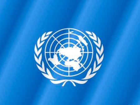 Россию не смогут лишить права единолично накладывать вето в Совете безопасности ООН - дипломат