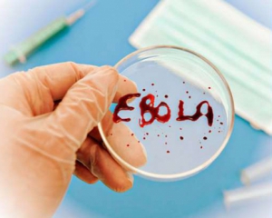 Эбола может скоро появиться в Украине